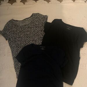 Ann Taylor Black and Navy Short Sleeve Tees